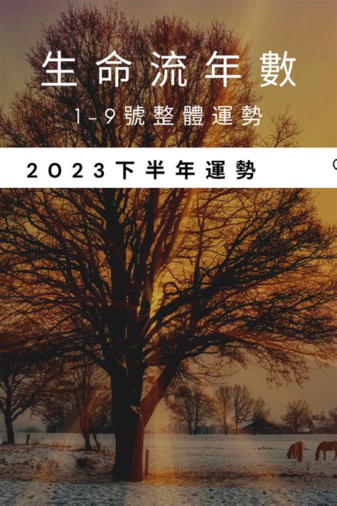 2023生命靈數流年3